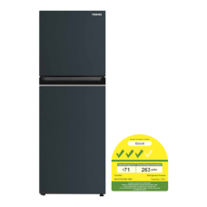 TOSHIBA GR-RT303WE-PMX(52) 2-Door Refrigerator(233L)(Energy Efficiency Class 3)